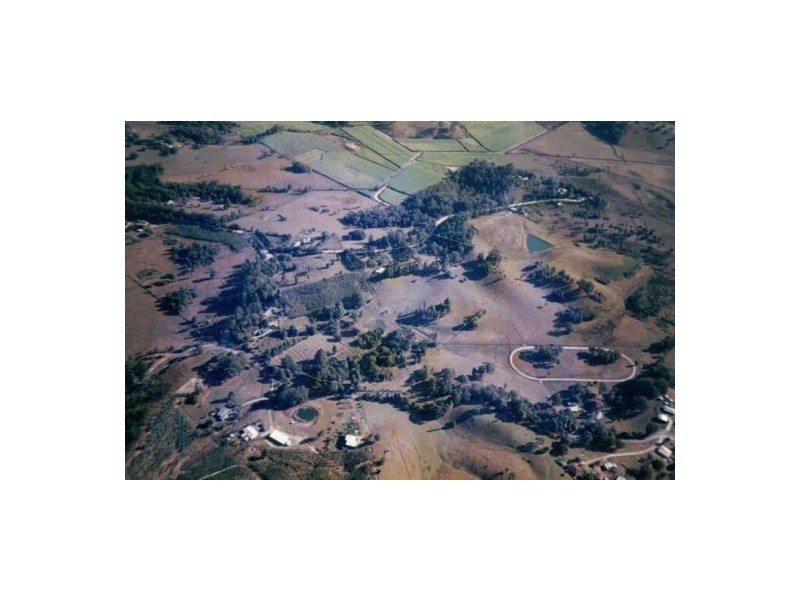 Cabarita Beach NSW 2488