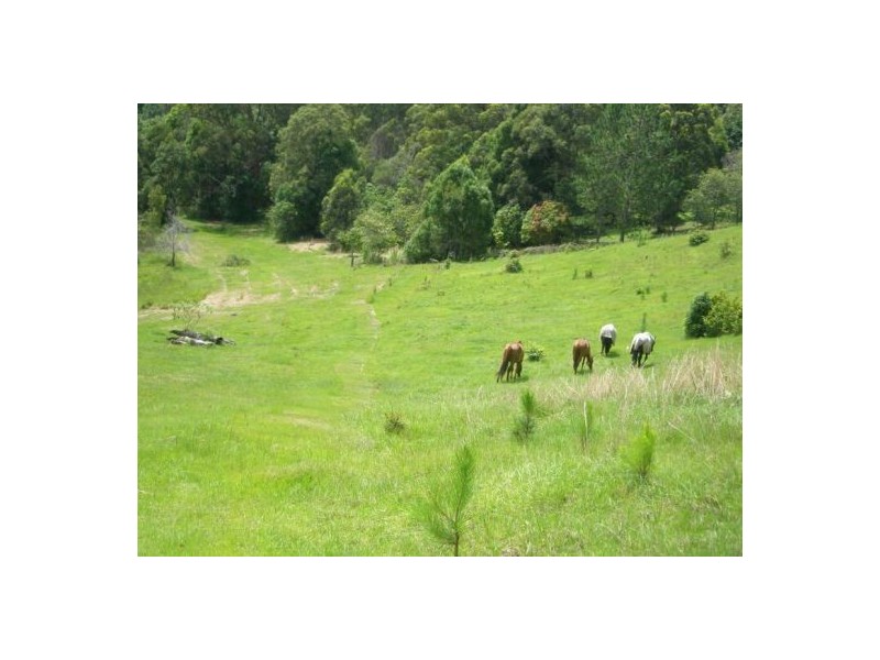 Cabarita Beach NSW 2488