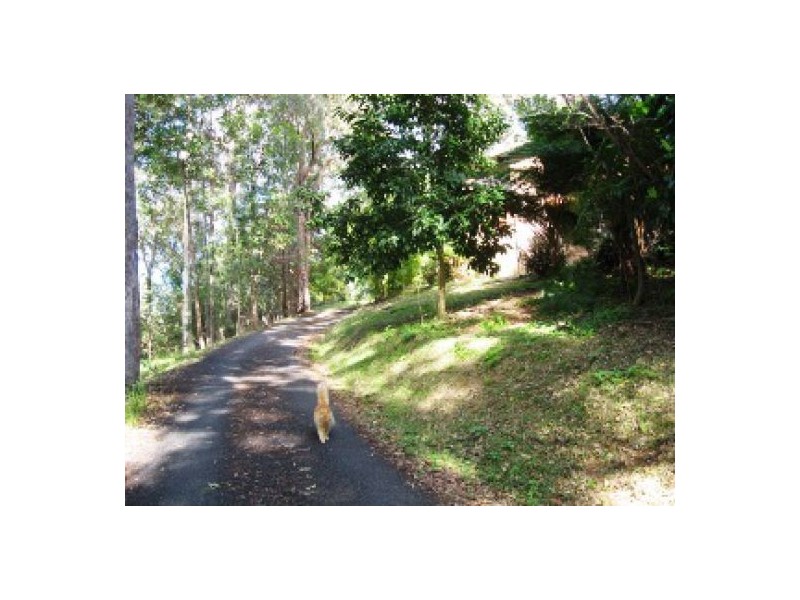 3 Dorset Place, Elanora QLD 4221