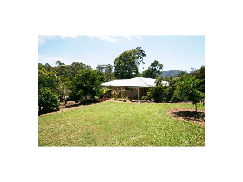 Murwillumbah NSW 2484