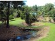 Murwillumbah NSW 2484