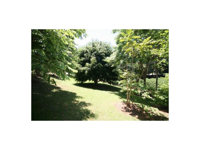 Murwillumbah NSW 2484