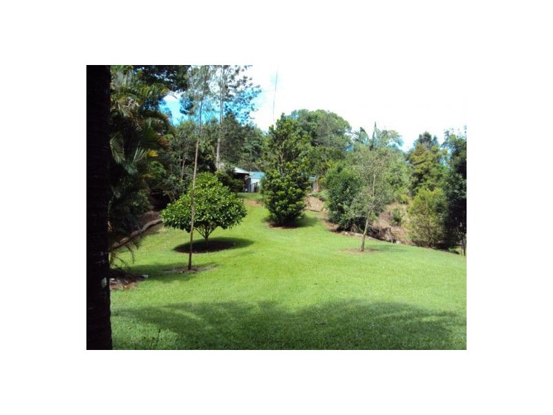 Murwillumbah NSW 2484