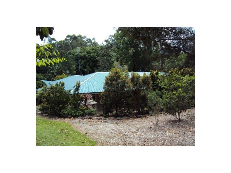 Murwillumbah NSW 2484