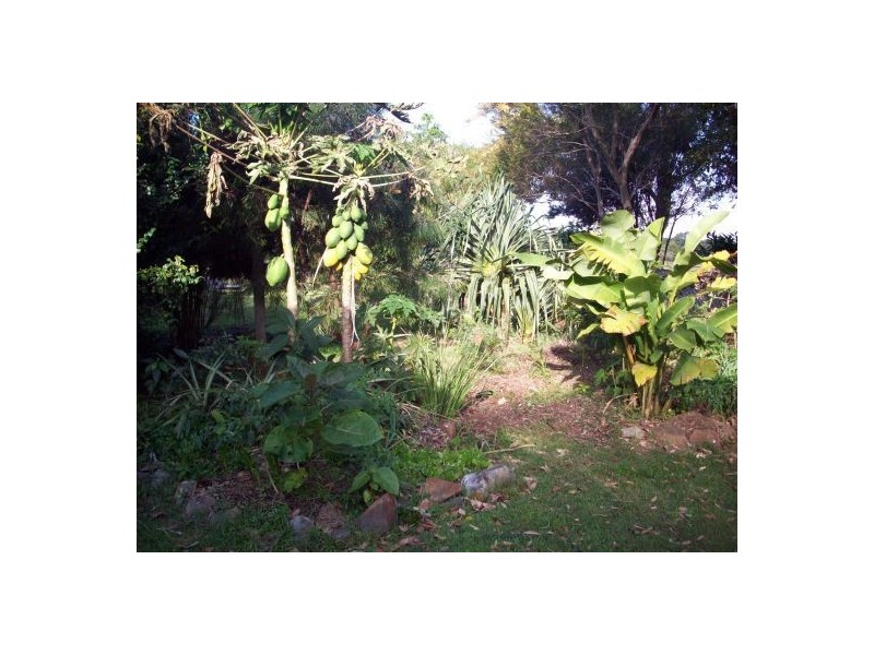 30 Creek Street, Hastings Point NSW 2489