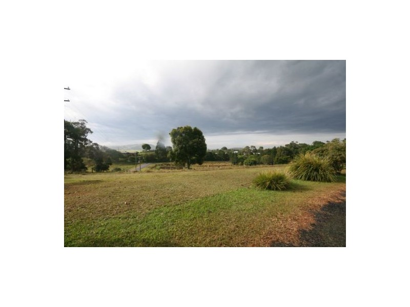 8 Hazelwood Dr, Pottsville NSW 2489