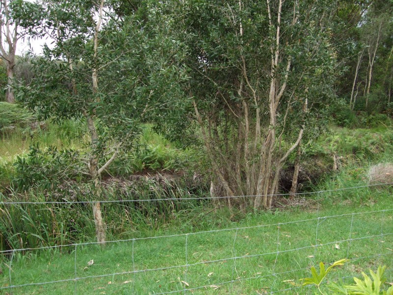 Hastings Point NSW 2489