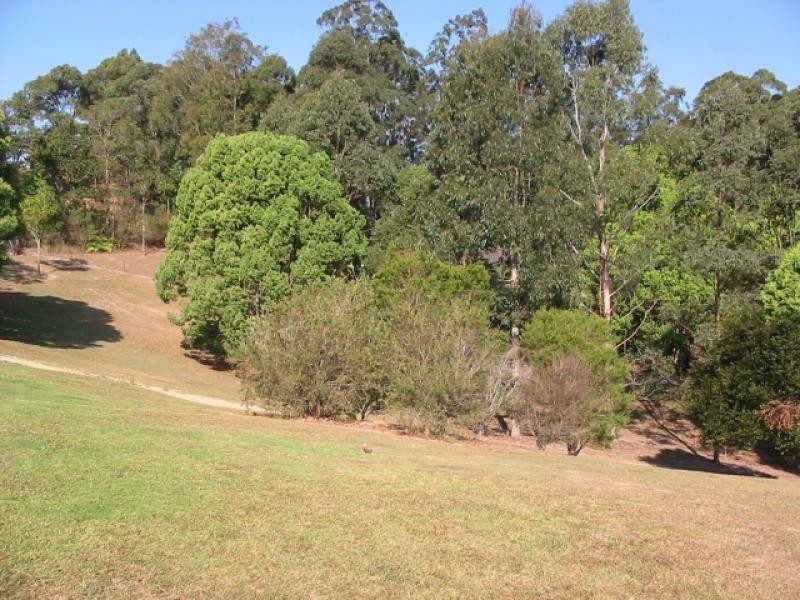 1266 Clothiers Creek Road, Clothiers Creek NSW 2484