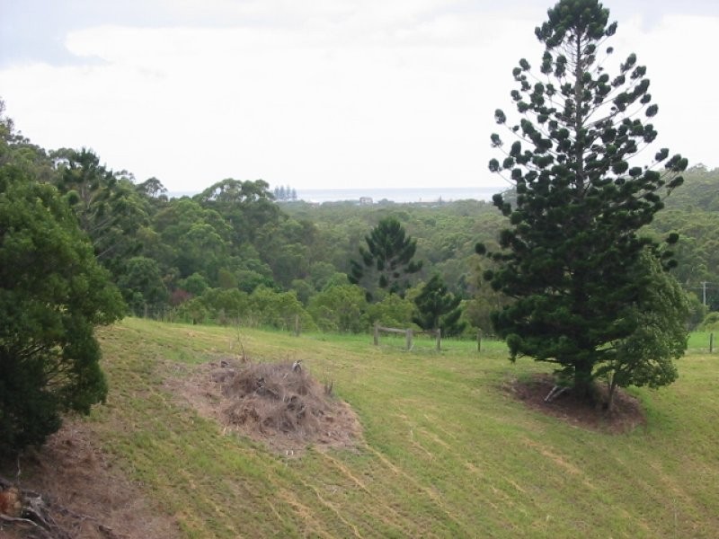 270 Round Mountain Road, Cabarita Beach NSW 2488