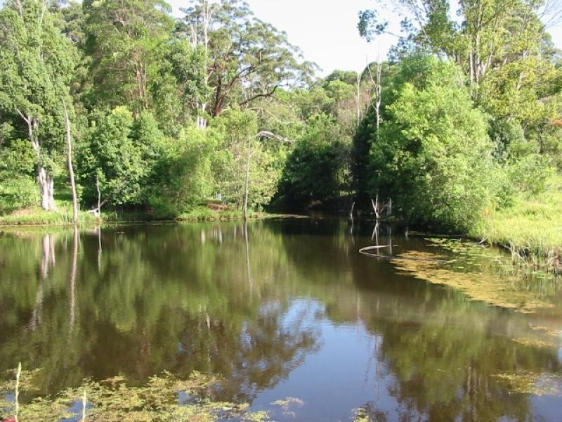 1 Palmvale Road, Murwillumbah NSW 2484