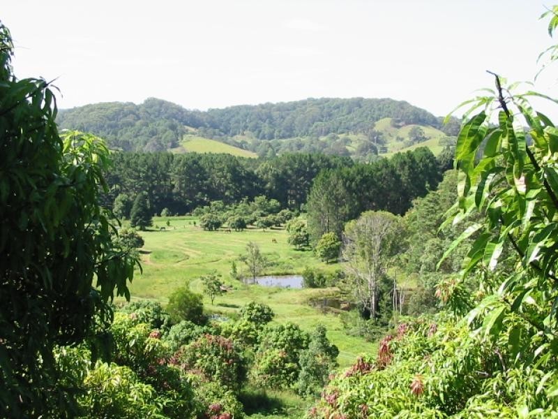 1 Palmvale Road, Murwillumbah NSW 2484