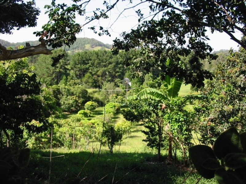1 Palmvale Road, Murwillumbah NSW 2484