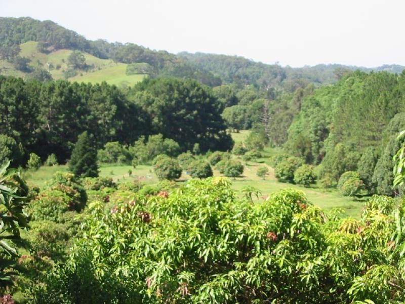 1 Palmvale Road, Palmvale NSW 2484