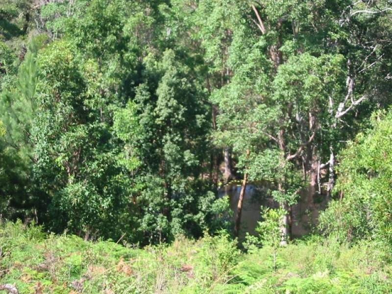 1 Palmvale Road, Palmvale NSW 2484