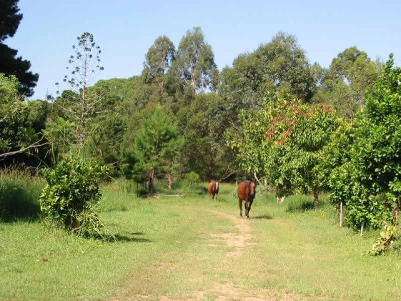 1 Palmvale Road, Palmvale NSW 2484