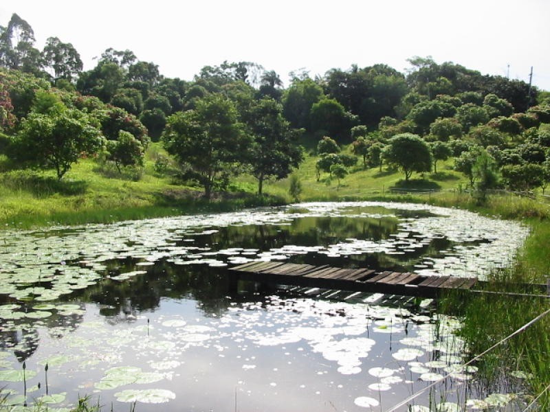 1 Palmvale Road, Palmvale NSW 2484