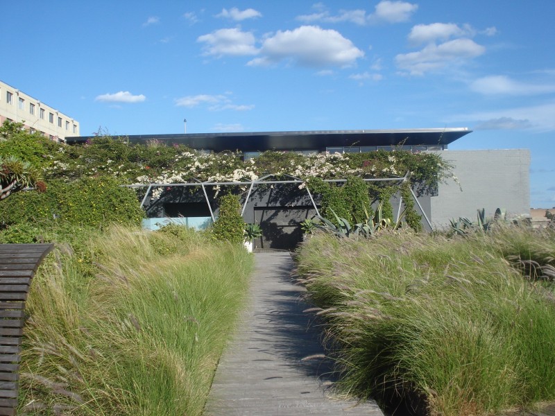 405/380 Harris Street, Pyrmont NSW 2009