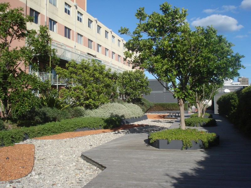 405/380 Harris Street, Pyrmont NSW 2009