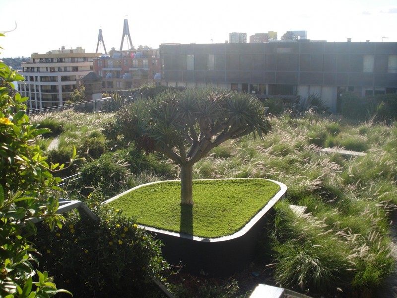 405/380 Harris Street, Pyrmont NSW 2009