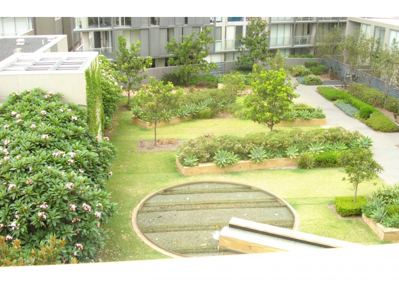 403/ 45 Bowman Street, Pyrmont NSW 2009