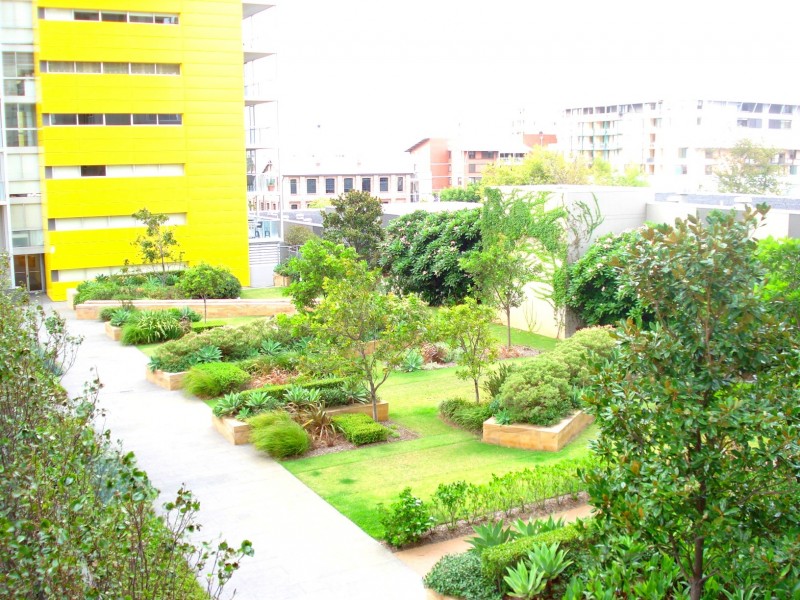 305/ 8 Distillery Drive, Pyrmont NSW 2009