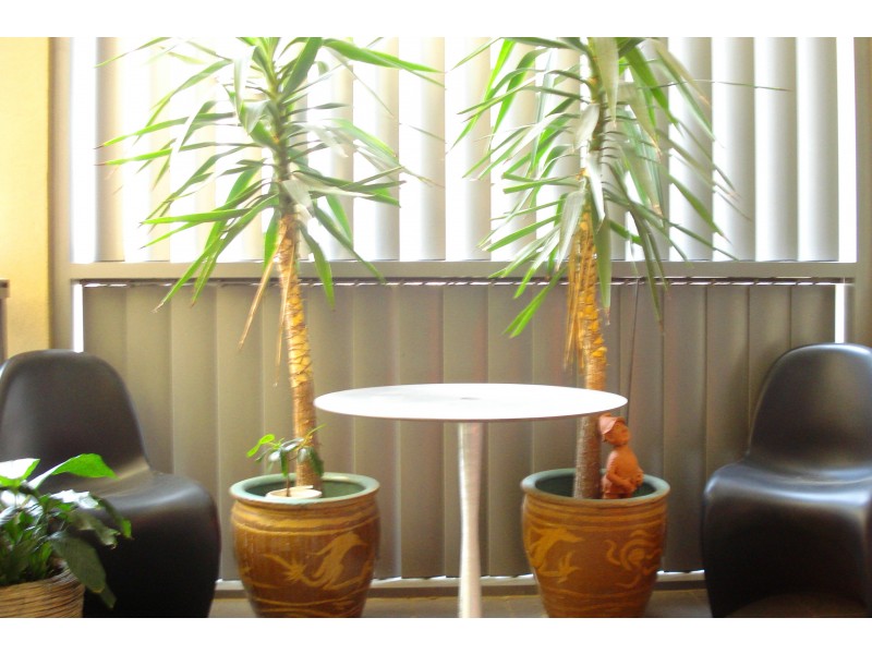 602/ 35 Bowman Street, Pyrmont NSW 2009