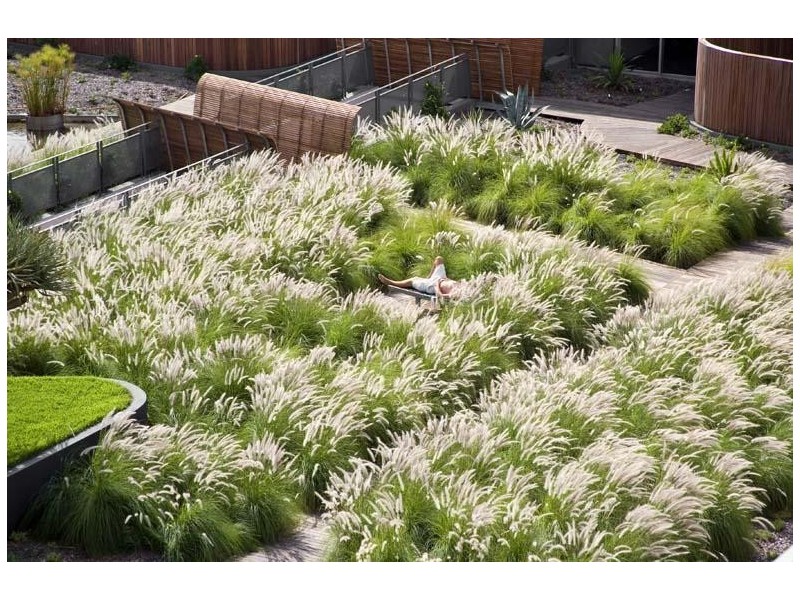 UG01/ 320 Harris Street, Pyrmont NSW 2009