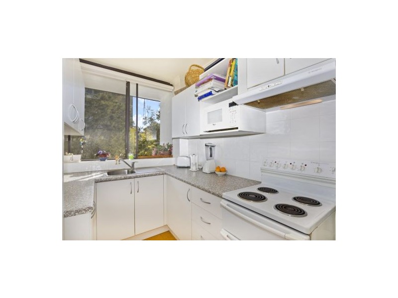 31/7  Jersey Road, Artarmon NSW 2064