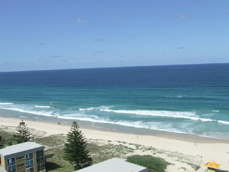 50 Old Burleigh Road, Surfers Paradise QLD 4217