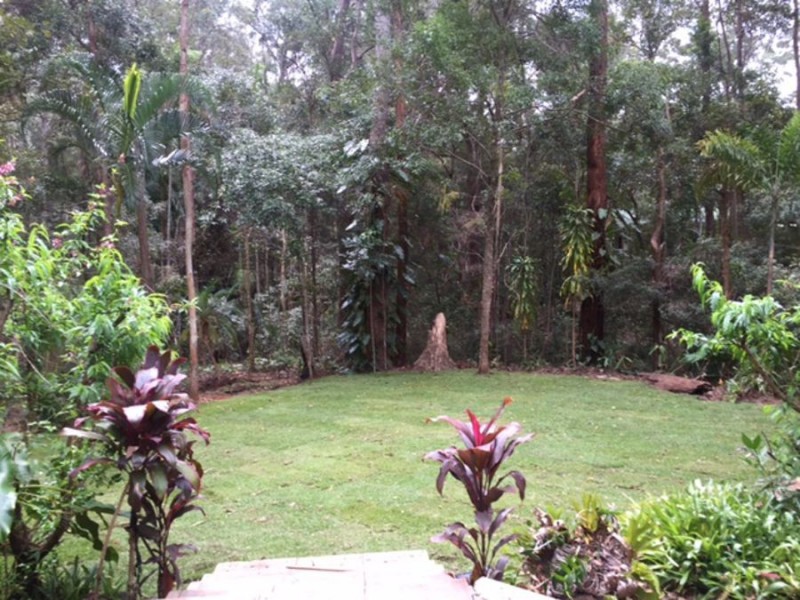 294 Trees Road, Tallebudgera QLD 4228