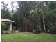 294 Trees Road, Tallebudgera QLD 4228