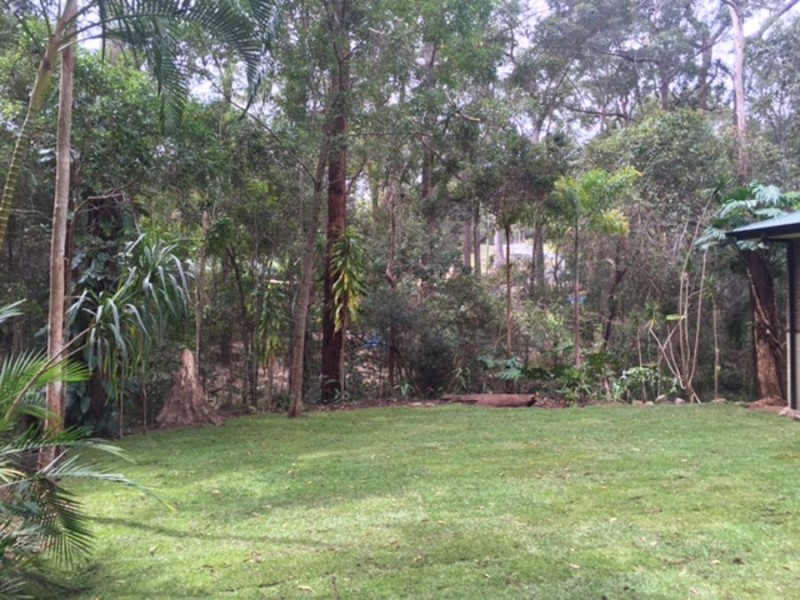 294 Trees Road, Tallebudgera QLD 4228