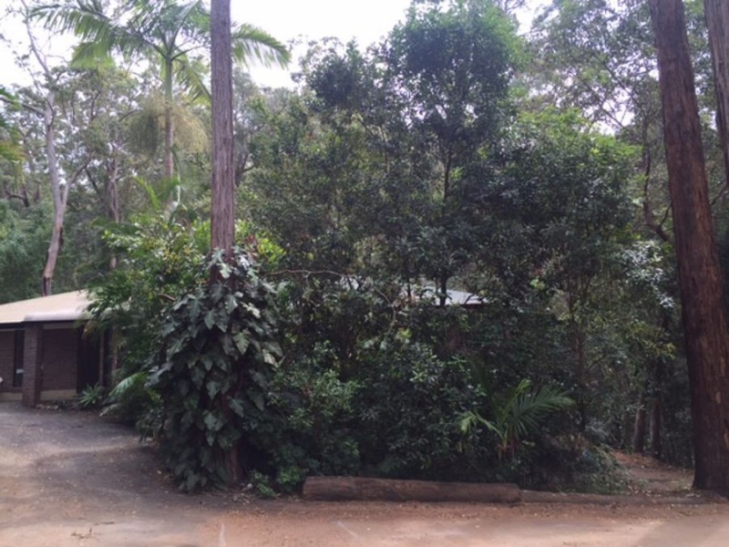 294 Trees Road, Tallebudgera QLD 4228