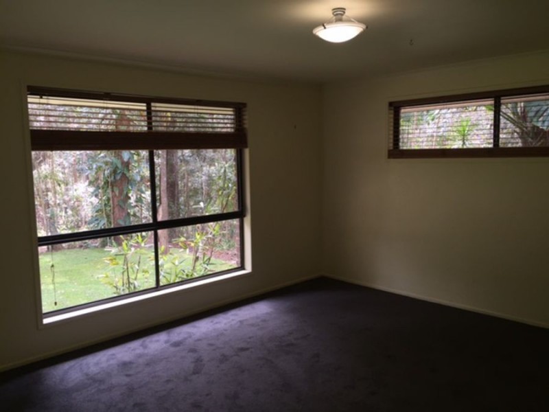 294 Trees Road, Tallebudgera QLD 4228