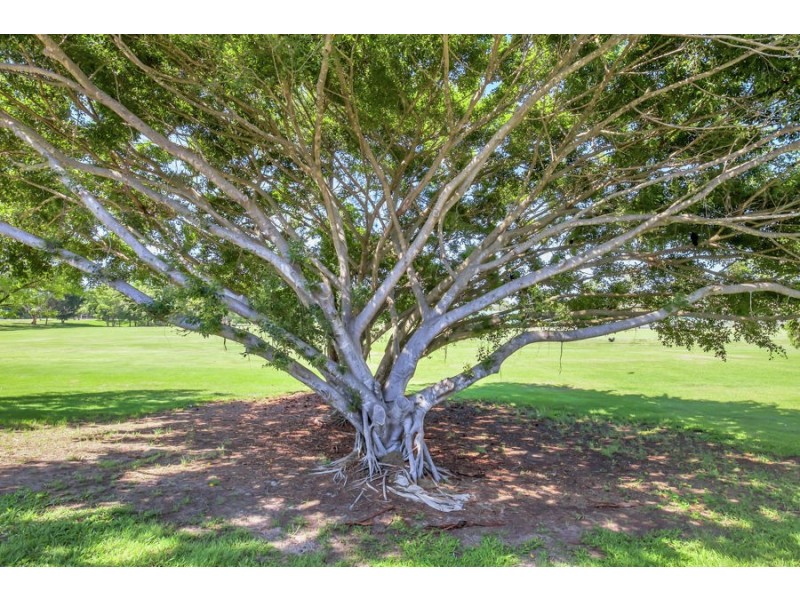 1/50 Oceanic Drive, Mermaid Waters QLD 4218