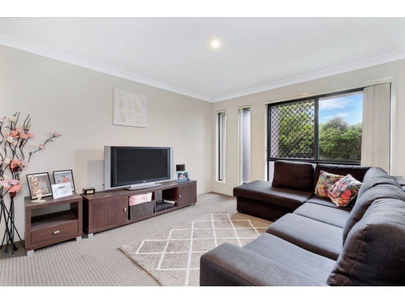 19 Treeline Circuit, Upper Coomera QLD 4209