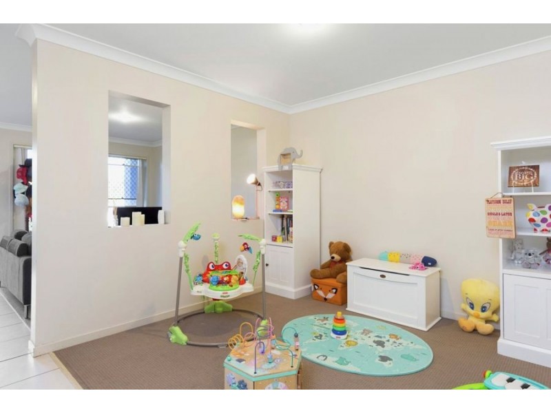 41 Treeline Circuit, Upper Coomera QLD 4209