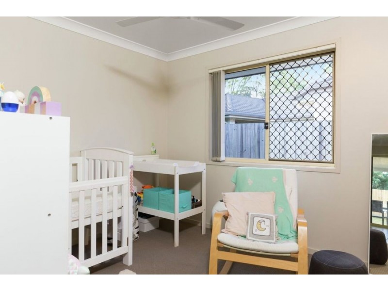 41 Treeline Circuit, Upper Coomera QLD 4209