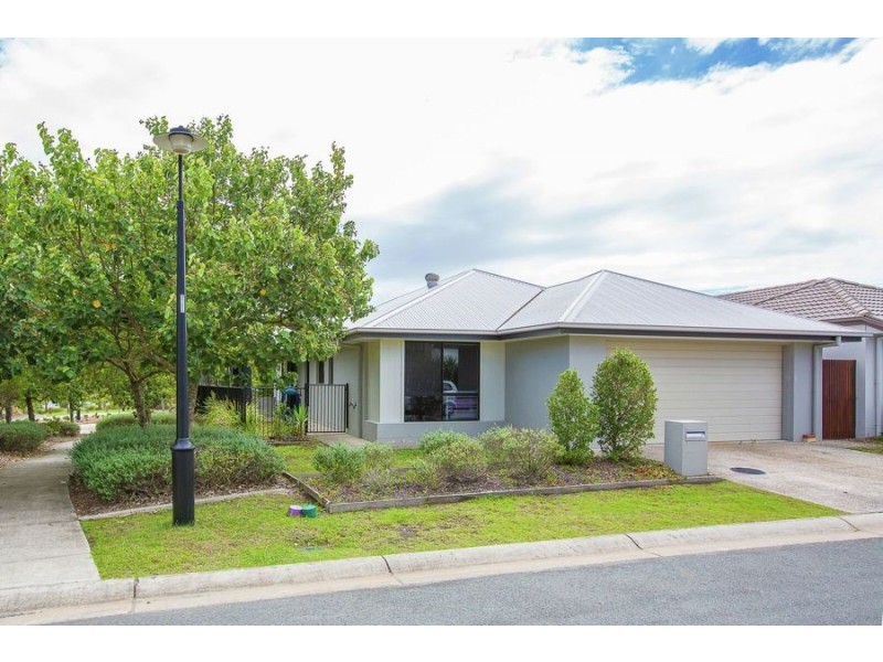 7 Danbulla Street, Pimpama QLD 4209