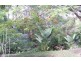 15 McDivitt Court, Worongary QLD 4213