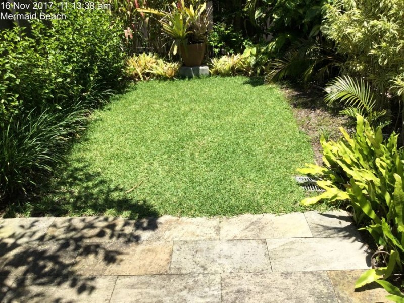 2/13 Chairlift Avenue East, Mermaid Beach QLD 4218