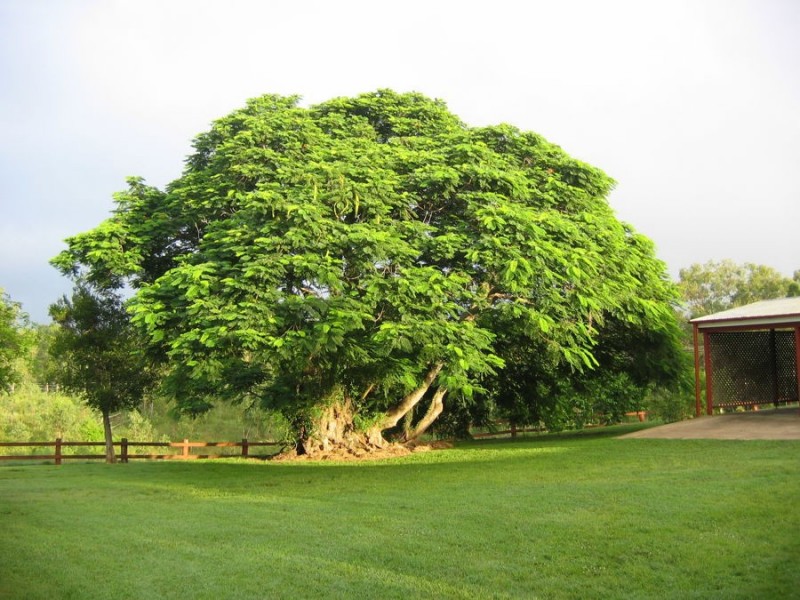 315 Walla Road, Morganville QLD 4671