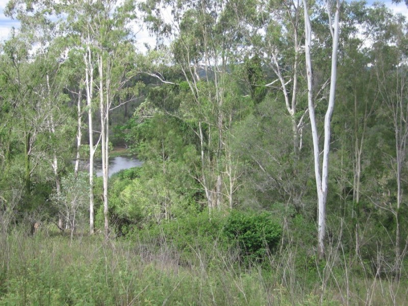 315 Walla Road, Morganville QLD 4671