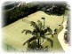 Burleigh Heads QLD 4220