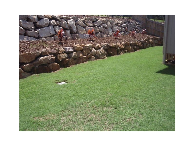 Upper Coomera QLD 4209