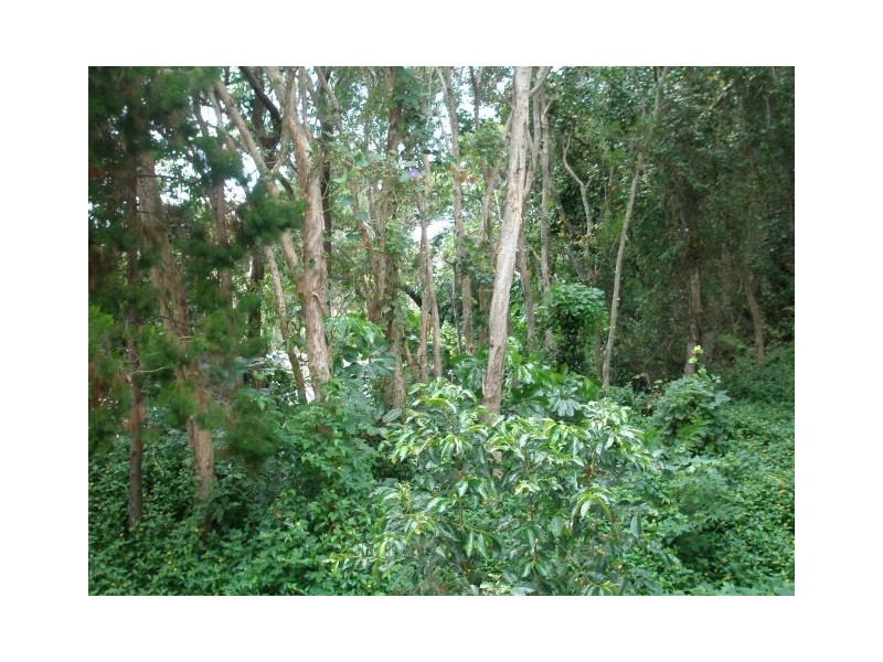 Mermaid Beach QLD 4218