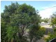 Mermaid Beach QLD 4218