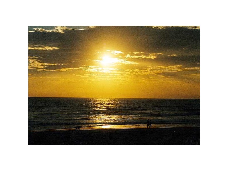 Miami QLD 4220