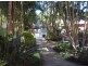 Miami QLD 4220