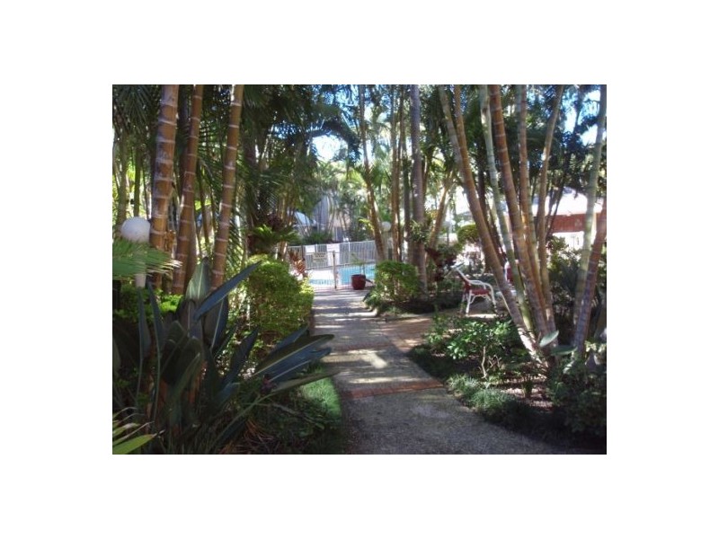 Miami QLD 4220